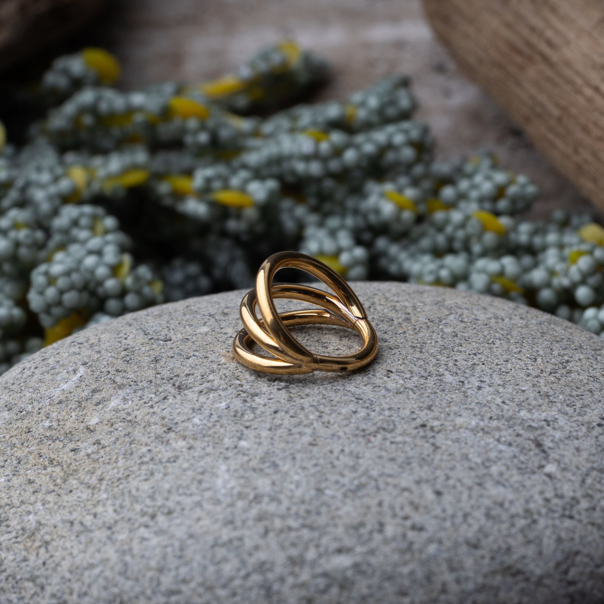 Four triple-band hoop septum clicker ring in gold finish, displayed on a rocky background.
