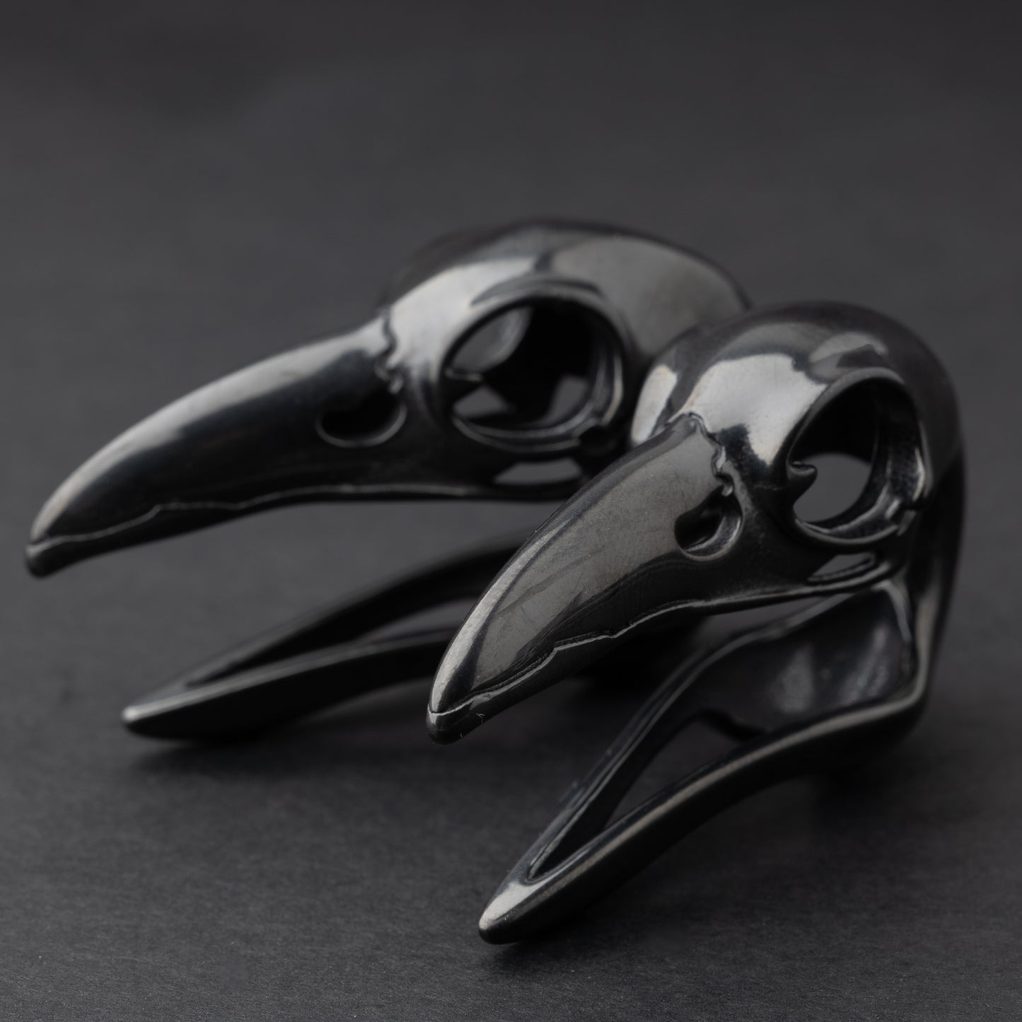 Raven Skull Ear Weights