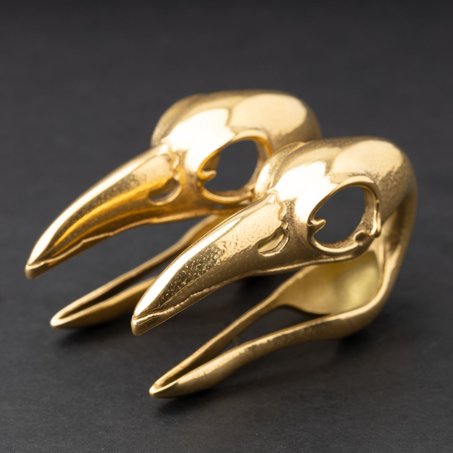 Raven Skull Ear Weights