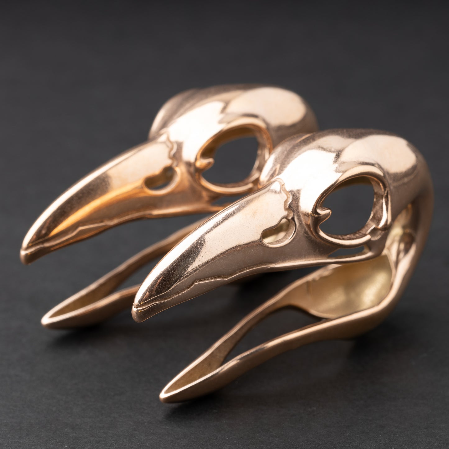 Raven Skull Ear Weights