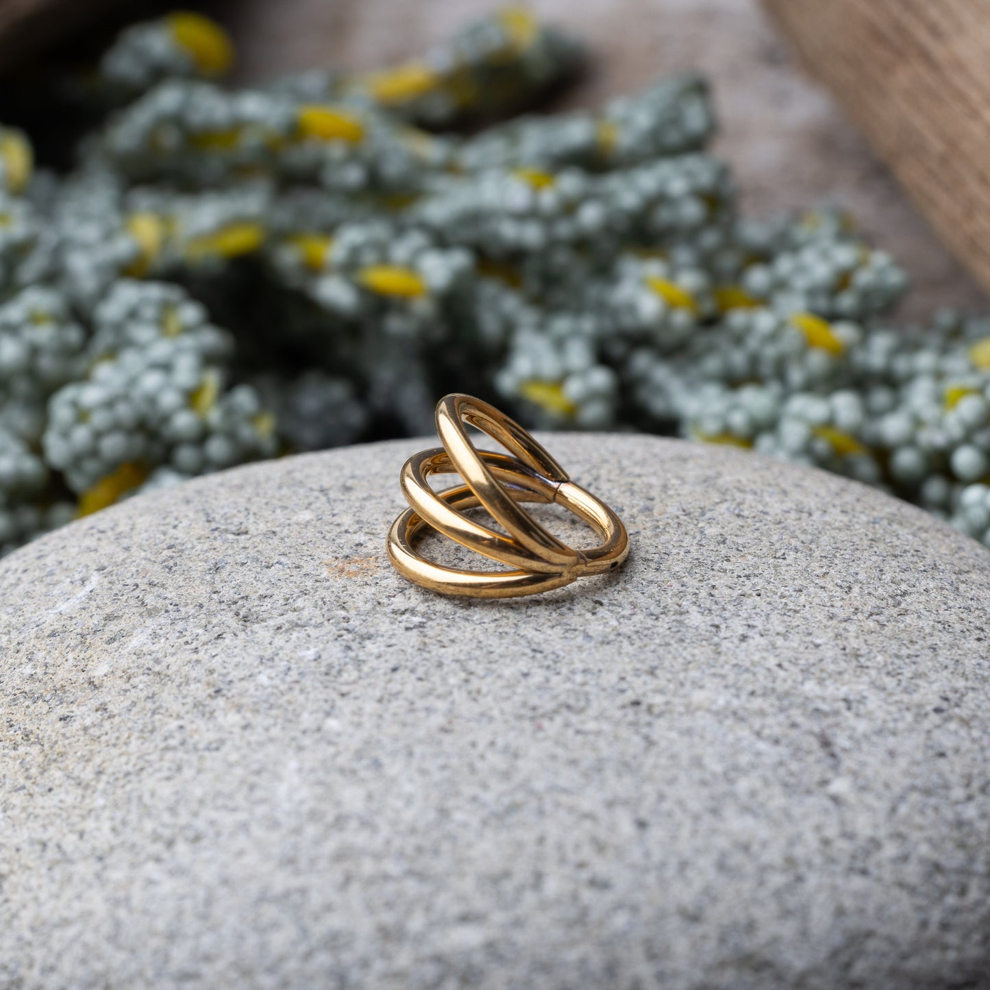 Four triple-band hoop septum clicker ring in gold finish, displayed on a rocky background.
