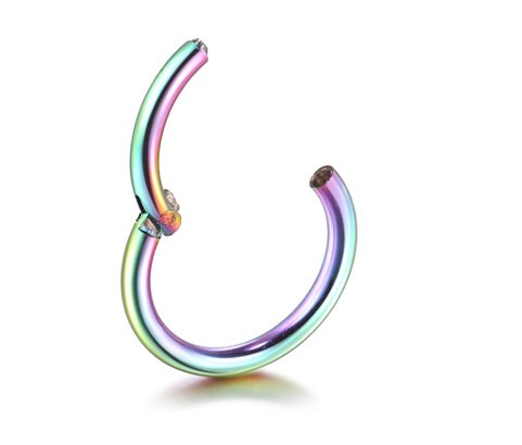 Titanium Clicker in Rainbow, Nose Ring, Septum Jewelry, Daith Hoop, Conch Ring, Helix Earring Hoop, Colorline, Multicoloured Huggie Hoops