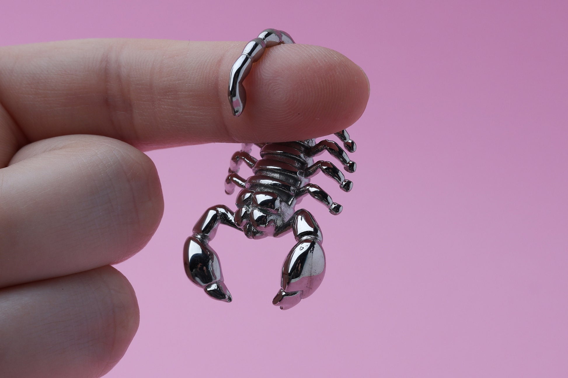 Scorpion Ear Weights, Stainless Steel Ear Hangers, Scorpion Gauge Weights, Jewelry for Stretched Ears