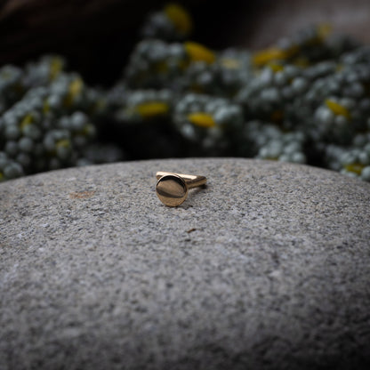 Solid Gold Disc Nose Stud