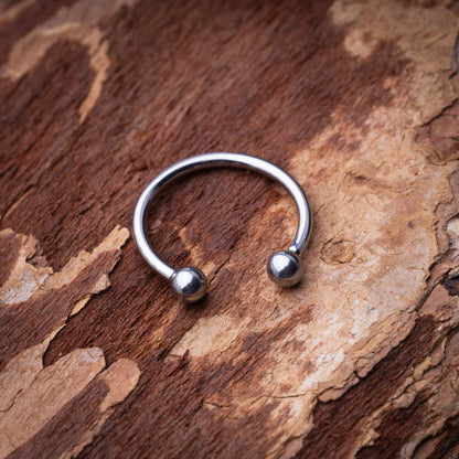 Titanium Internally Threaded Horseshoe Hoop